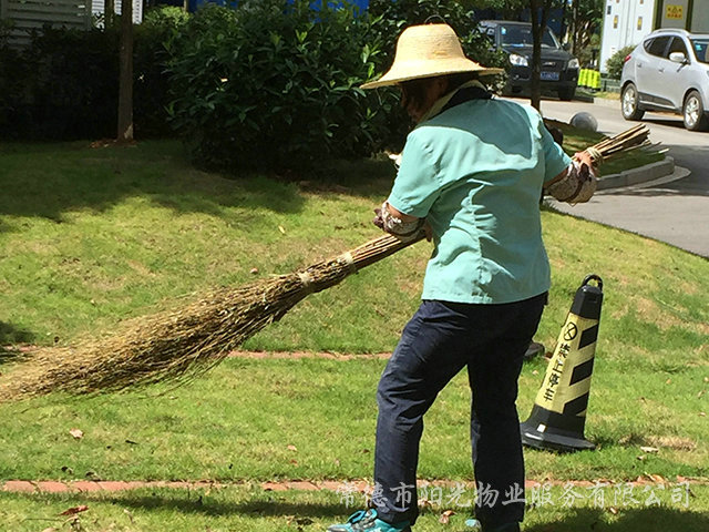 清扫绿化带