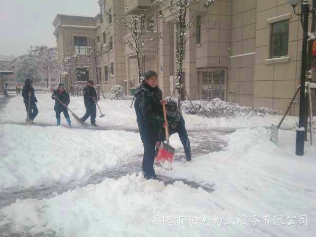 确保业主出行冰灾除雪